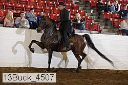 13buck_4507 proof