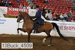13buck_4509 proof