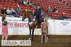 13buck_4510 proof