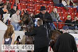 13buck_4512 proof