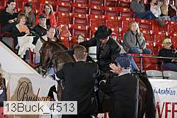 13buck_4513 proof