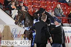 13buck_4515 proof