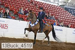 13buck_4519 proof