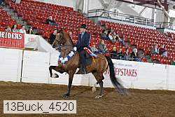 13buck_4520 proof