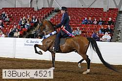 13buck_4521 proof