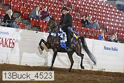 13buck_4523 proof
