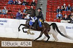 13buck_4524 proof