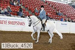 13buck_4526 proof