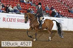 13buck_4527 proof