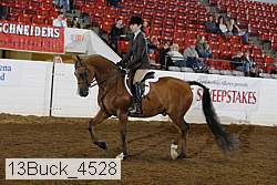 13buck_4528 proof