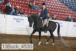13buck_4530 proof