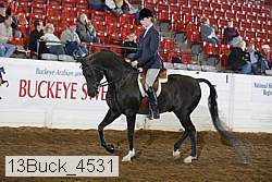 13buck_4531 proof