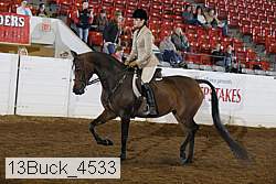 13buck_4533 proof