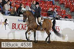 13buck_4536 proof