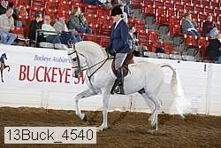 13buck_4540 proof