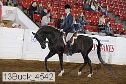 13buck_4542 proof