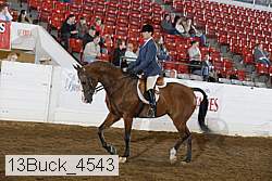 13buck_4543 proof