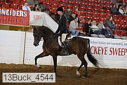 13buck_4544 proof