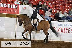 13buck_4545 proof