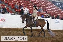 13buck_4547 proof