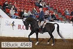 13buck_4548 proof
