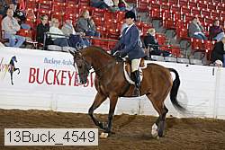 13buck_4549 proof