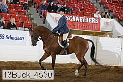 13buck_4550 proof