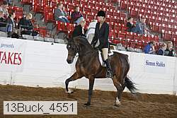 13buck_4551 proof