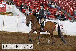 13buck_4552 proof
