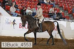 13buck_4553 proof
