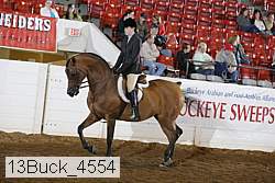 13buck_4554 proof