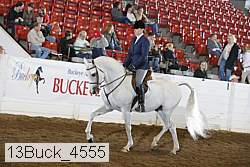 13buck_4555 proof
