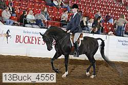 13buck_4556 proof