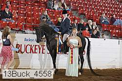 13buck_4558 proof