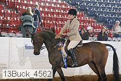 13buck_4562 proof