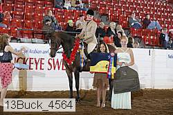 13buck_4564 proof