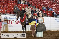 13buck_4566 proof