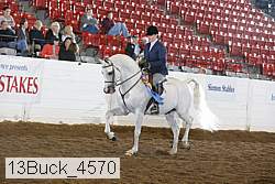13buck_4570 proof