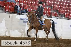 13buck_4573 proof