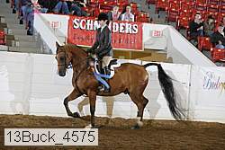 13buck_4575 proof