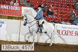 13buck_4579 proof