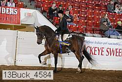 13buck_4584 proof