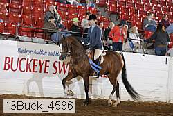 13buck_4586 proof
