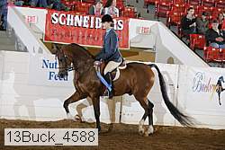 13buck_4588 proof