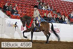 13buck_4596 proof