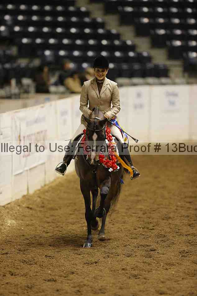 Proof 13buck_4598