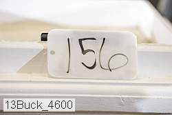 13buck_4600 proof