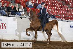 13buck_4602 proof