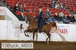 13buck_4603 proof