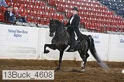 13buck_4608 proof